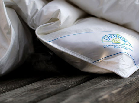 Piumini e guanciali in
piuma d’oca Daunex